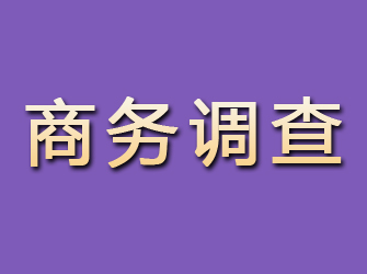 泉山商务调查